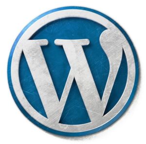 What-to-do-first-after-installing-WordPress?